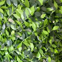 فنس چمنی و فنس برگی|مصالح و تجهیزات ساختمان|کازرون, |دیوار