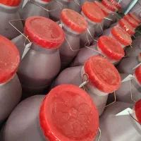 رب گوجه با ضمانت|خوردنی و آشامیدنی|مشهد, هنرور|دیوار