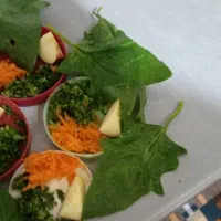 قناری گلاستر|پرنده|سهند, |دیوار