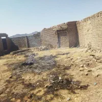 فروش زمین600متری درتربت حیدریه،روستای طاهر آباد|فروش زمین و ملک کلنگی|تربتحیدریه, حاجی یار|دیوار