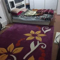 همخونه هم خونه همخانه هم خانه