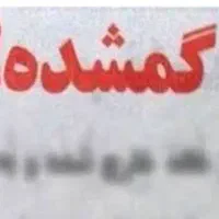 مدارک گمشده