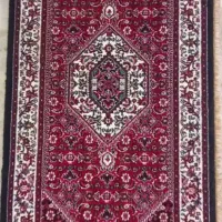 پشتی  ریزماهی