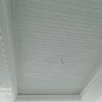 سلام لکه گیری ساختمان و غیره  پذیرفته میشه