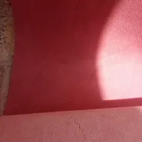دو حدد موکیت بزرگ صورتی