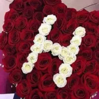 رز شاین ماندگار|گل مصنوعی|نظرآباد, شهرک آزادگان|دیوار