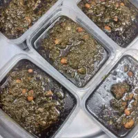 آشپزخونه خانگی