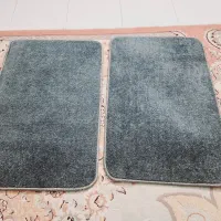 دو عدد پادری طوسی تیره