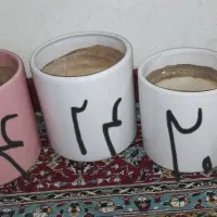 گلدان|گل و گیاه طبیعی|اهواز, فاز ۱ پادادشهر|دیوار