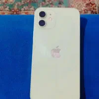 آیفون ۱۲نرمال|موبایل|بم, |دیوار