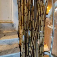 مقداری چوب بامبو فروشی
