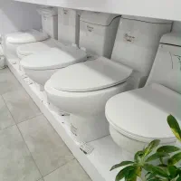 توالت فرنگی درجه یک چینی کرد، مروارید، مینا و غیره|لوازم سرویس بهداشتی|بیرجند, |دیوار