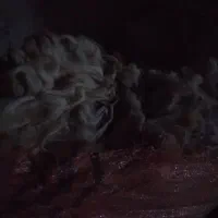 پشم گوسفند ۱۵۰ کیلو