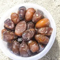 رطب کبکاب