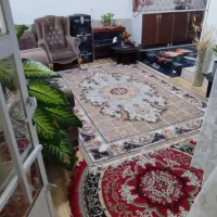 50مترقوارعقب