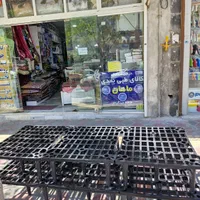 کف تخت پلیمری|تخت و سرویس خواب|بیرجند, |دیوار