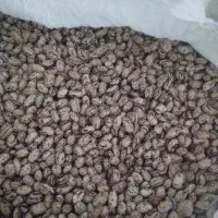 لوبیا چیتی درجه یک علا