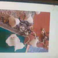 سه عدد لوستر سقفی