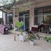 فروش-ویلای-250-متری-در-لاکانشهر-بلوار-پروفسورسمیعی