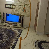 لوستر و قفس با پایه ایستاده|لوستر و چراغ آویز|شاهینشهر, فردوسی|دیوار