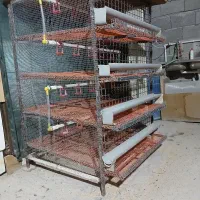 قفس بلدرچین تخم گذار