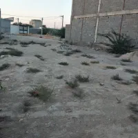 زمین متراژ200|فروش زمین و ملک کلنگی|دلوار, |دیوار