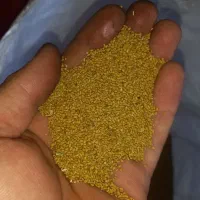 بذر یونجه