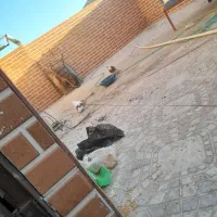 طوقی کاشانی تهرانی