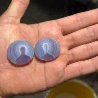 حراج شجر های قائنات با بهترین منظره زیر قیمت|جواهرات|تهران, دریاننو|دیوار