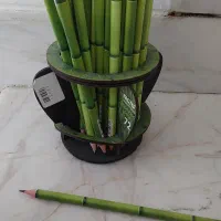 مداد سیاه فکتیس