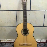 گیتار دالاهو