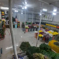 رهن و اجاره تجاری مناسب تمام مشاغل|اجارهٔ مغازه و غرفه|شیراز, جوادیه|دیوار