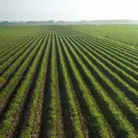 فروش زمین کشاورزی قره آغاج مغان