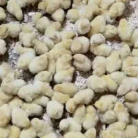 پخش عمده جوجه رنگی،اردک،جوجه محلی