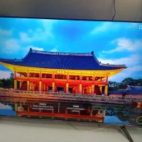 فروش لوازم خانگی دوو و اسنوا