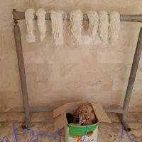 نخ قالی