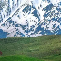 اجاره خانه ویلایی ۲۵۰ متری ۵ خوابه