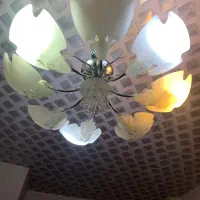 لوستر هشت شاخه|لوستر و چراغ آویز|اردبیل, |دیوار