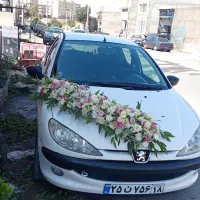 پایه گل|گل و گیاه طبیعی|همدان, |دیوار