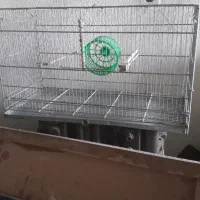 قفس سهره، قناری ، پژاوند ، جوجه پران