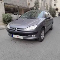 206 تیپ ۲ بی رنگ کم کارکرد