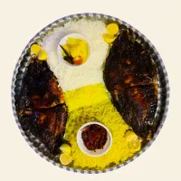 ماهی کباب ناب