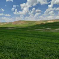 زمین باغی - زراعی