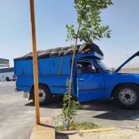 نیسان سایپا