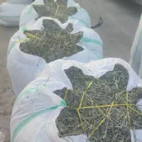 یونجه شاهزاده ابراهیم