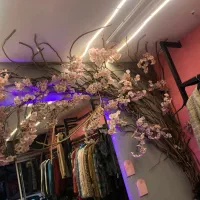 درخچه شکوفه مناسب دکوراسیون