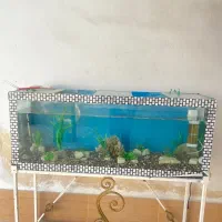 اکواریم سالم و تمیز با لوازم کامل با پایه فلزی|ماهی|آمل, |دیوار