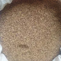 کنجد|عمده‌فروشی|مراوه, |دیوار