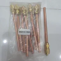 شیر سوزنی (والف تست)