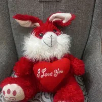 خرس های خارجی بزرگ پت ومت وگوسفند و...